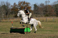 Tori Nuckols on Grey Dragon, Beginner Novice Horse Trials Senior A