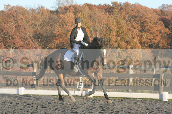 Thea Miller on Something Glamorous, Dressage Only: Training Level, Test 3