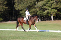 Allie Farley on Fiona, Novice Horse Trials Senior A