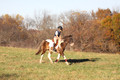 Reagan Roy on Paint By Numbers, Green Horse Trials Junior