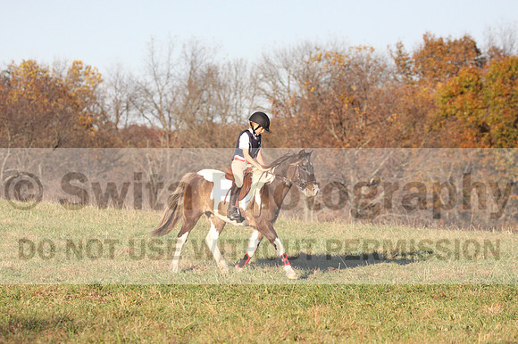 Reagan Roy on Paint By Numbers, Green Horse Trials Junior
