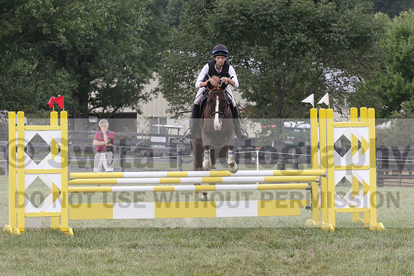 Samantha Eley on Swan's Buttercup