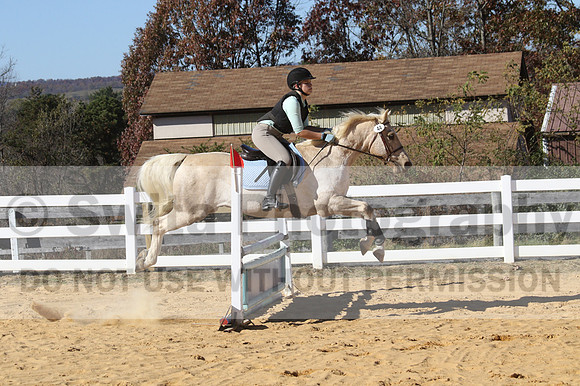 Anna Kryder on MEMC Playboy, Beginner Novice Horse Trials Junior A