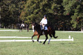 Allie Farley on Fiona, Novice Horse Trials Senior A