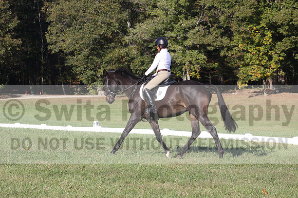 Anna White on Rocking The Ark, Novice Horse Trials Senior A