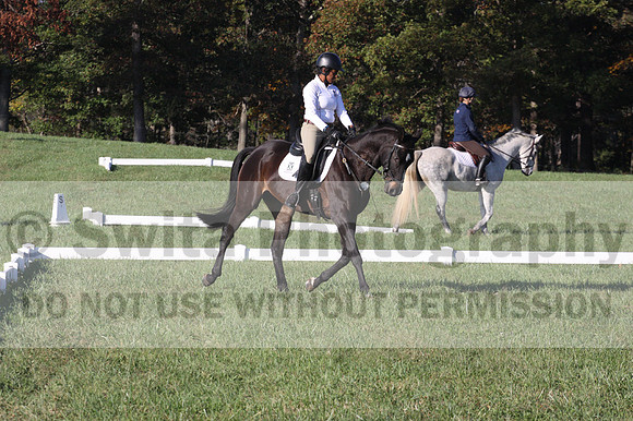 Anna White on Rocking The Ark, Novice Horse Trials Senior A