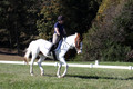 Elizabeth Schooley on Pearl, Advanced Green Horse Trials A