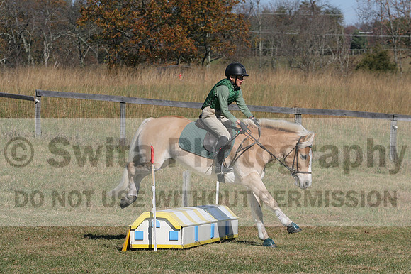 Sally Nunneley on Gingerman, Beginner Novice Horse Trials Senior A