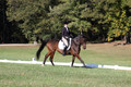 Margo Hardy on Soling's Hat Trick, Novice Horse Trials Senior B