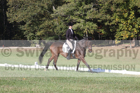 Margo Hardy on Soling's Hat Trick, Novice Horse Trials Senior B