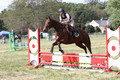Jennifer Treacy on Happy Harry, BNR