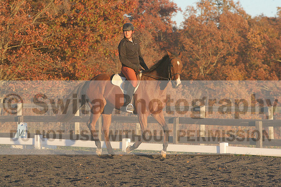 Chris Nicholson on Port Of Call, Dressage Only: First Level, Test 1