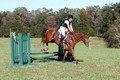 Alexandria Morocom on Da Lime and Da Coconut, Advanced Green Horse Trials B