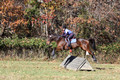 Shannon Daily on Pitt Maneuver, Novice Horse Trials Senior