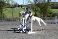 Elizabeth Larson, Defies Gravity