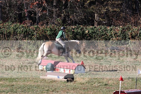 Sally Nunneley on Gingerman, Beginner Novice Horse Trials Senior A