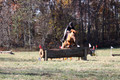 Theresa Thompson on Rated PG, Novice Horse Trials Senior