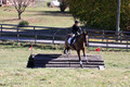 Emily Beshear on My Combination, Novice Horse Trials Senior