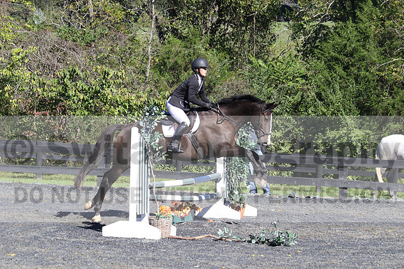 Wenzhao Zhang on High Roller, Beginner Novice Senior Horse Trials A