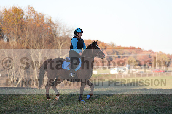 Alison O'Connor on Harwich Maximus, Green Horse Trials Senior