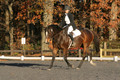 Thea Miller on Something Glamorous, Dressage Only: Training Level, Test 3