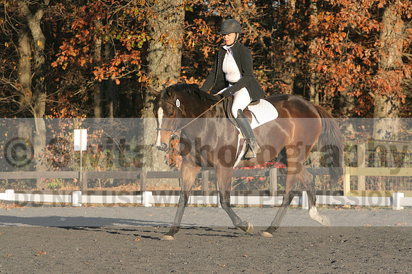 Thea Miller on Something Glamorous, Dressage Only: Training Level, Test 3