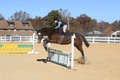 Wyatt Wilkerson on Troublemaker, Beginner Novice Horse Trials Junior A