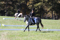 Michele Gnozzio on Dazzling, Beginner Novice Horse Trials Senior C