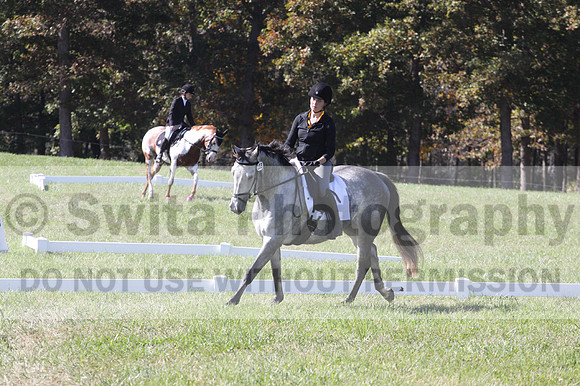 Michele Gnozzio on Dazzling, Beginner Novice Horse Trials Senior C