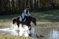Erica Jones on Bingo, Advanced Green Horse Trials Senior A