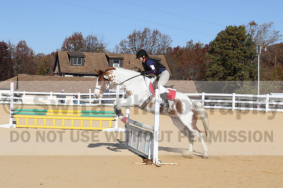 Corrine Woods on Chief's Star Dreammaker, Beginner Novice Horse Trials Senior B
