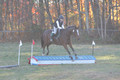 Ella Grier on Jean Louis Finch, Advanced Green Horse Trials Junior B