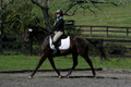 Jenny Rosner on Evita K, Advanced Green HT Senior