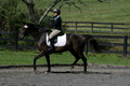 Jenny Rosner on Evita K, Advanced Green HT Senior