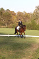 Paula McConnell on Summers Lilac, Dressage Only: Beginner Novice A