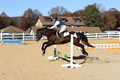 Erica Jones on Bingo, Advanced Green Horse Trials Senior A