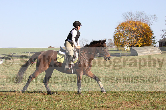 Morgan Sowers on Duke's Golden Playboy, Advanced Green Horse Trials Senior B