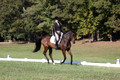 Margo Hardy on Soling's Hat Trick, Novice Horse Trials Senior B