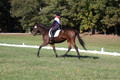 Shannon Daily on Pitt Maneuver, Novice Horse Trials Senior B