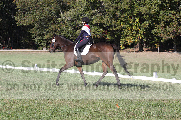 Shannon Daily on Pitt Maneuver, Novice Horse Trials Senior B