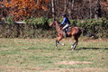 Francesca Toms on Top Secret, Novice Horse Trials Junior