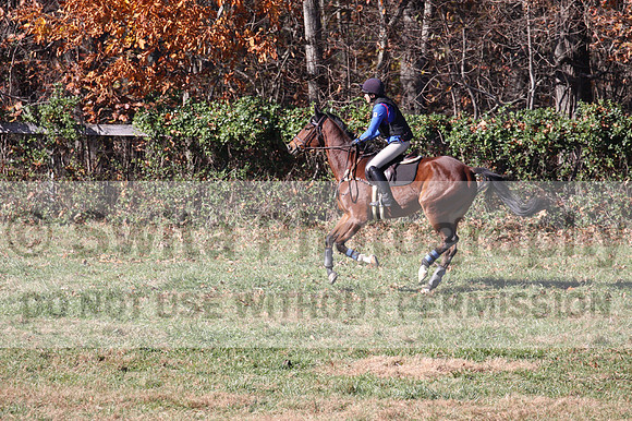 Francesca Toms on Top Secret, Novice Horse Trials Junior