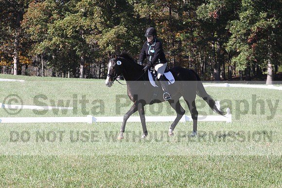 Mimi Combs on Aristocrat, Beginner Novice Horse Trials Senior A