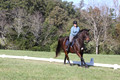 Carol Brickey on Throwing Stones, Advanced Green Horse Trials B