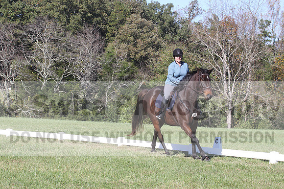 Carol Brickey on Throwing Stones, Advanced Green Horse Trials B