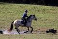 Brynn Katany on Cady O'Daly Artisan, Beginner Novice Horse Trials Junior A