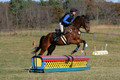 Francesca Toms on Top Secret, Novice Horse Trials Junior
