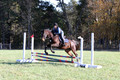 Carol Brickey on Throwing Stones, Advanced Green Horse Trials B