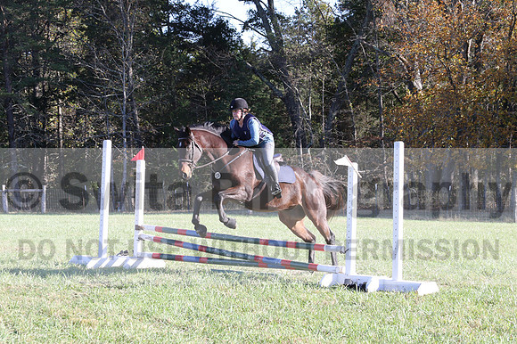 Carol Brickey on Throwing Stones, Advanced Green Horse Trials B