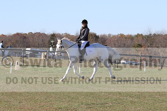 Kay Brady on Destiny's Mystique, Beginner Novice Horse Trials Senior B